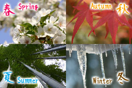 impressive photos of four seasons of our garden